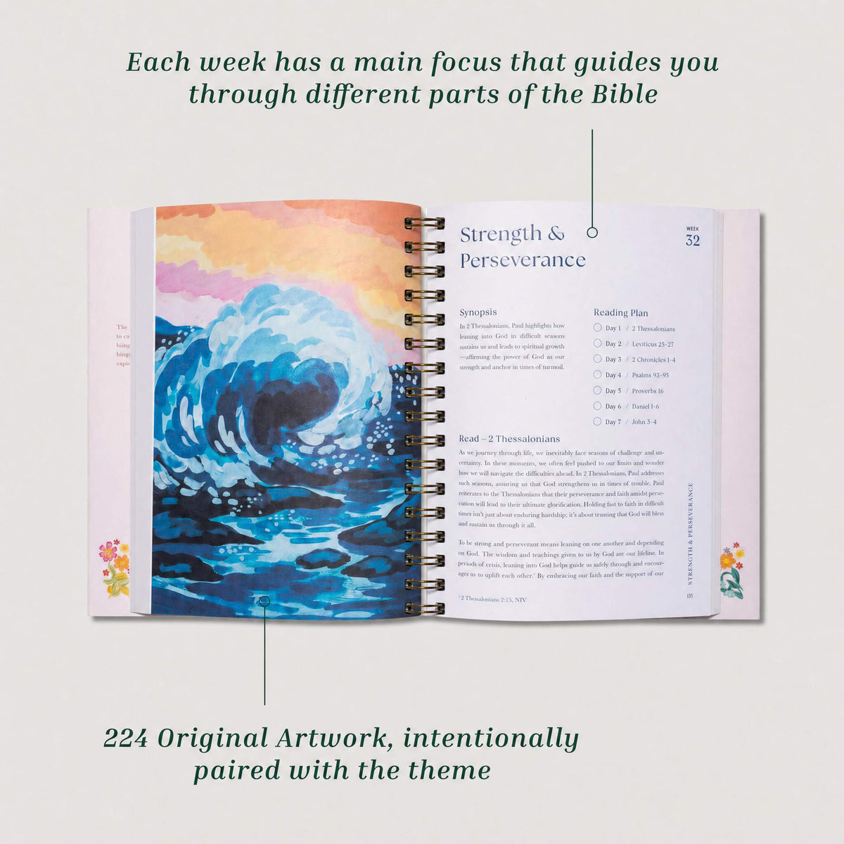 Bible In A Year: 52-Week Study VIP