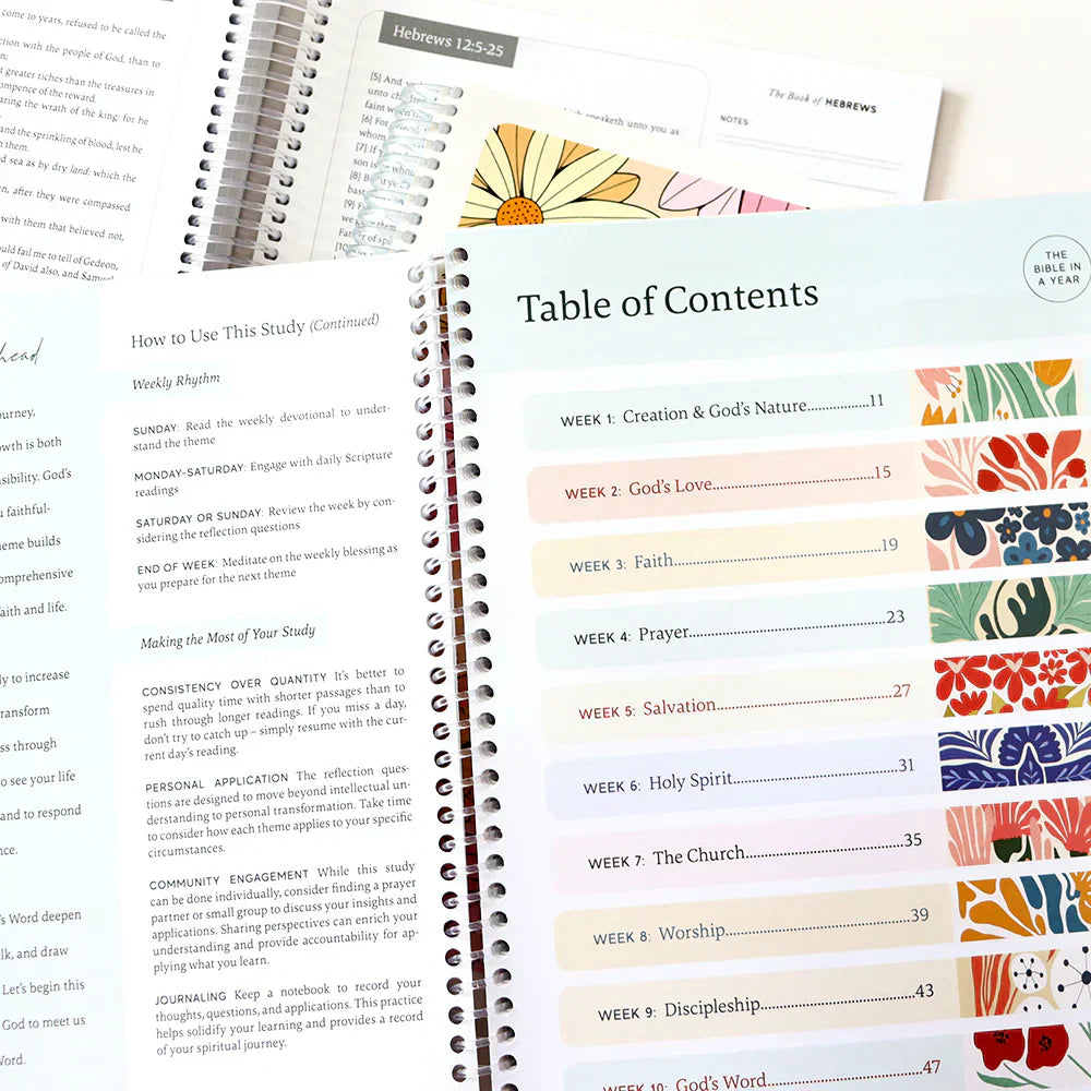 Bible in a Year: 52-week Study & The Good and Beautiful Bible Stories & One Minute with God