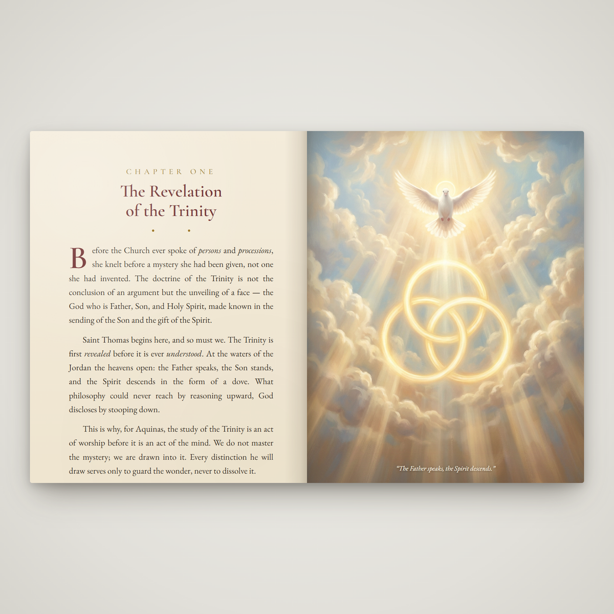The Trinitarian Theology of St Thomas Aquinas | e-Book