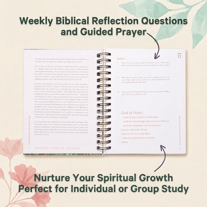 A Blessed Year in the Bible Study